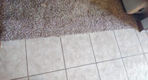Carpet Repair After Patching Carpet Greenwood, In