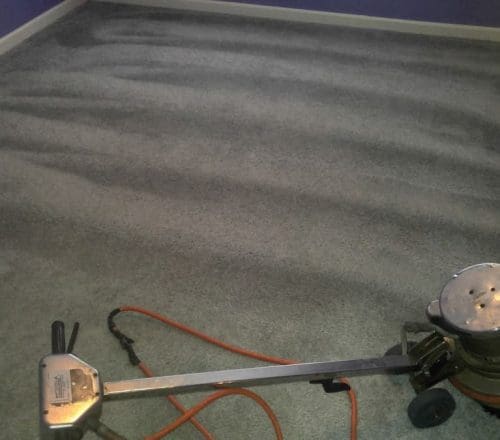 All color Carpet cleaning project (62)